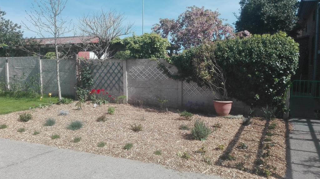Het Margrietje Villa Merkem Exteriör bild